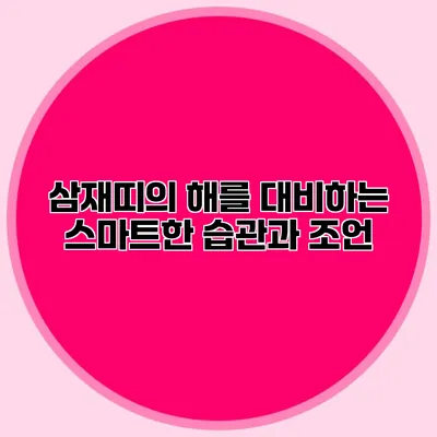 삼재띠의 해를 대비하는 스마트한 습관과 조언