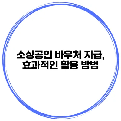 소상공인 바우처 지급, 효과적인 활용 방법