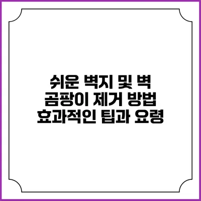 쉬운 벽지 및 벽 곰팡이 제거 방법: 효과적인 팁과 요령