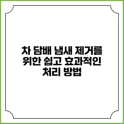 차 담배 냄새 제거를 위한 쉽고 효과적인 처리 방법