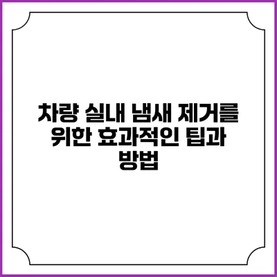 차량 실내 냄새 제거를 위한 효과적인 팁과 방법