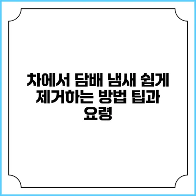 차에서 담배 냄새 쉽게 제거하는 방법: 팁과 요령