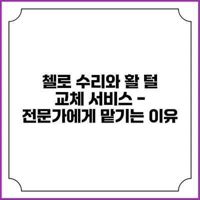 첼로 수리와 활 털 교체 서비스 - 전문가에게 맡기는 이유