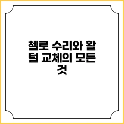 첼로 수리와 활 털 교체의 모든 것