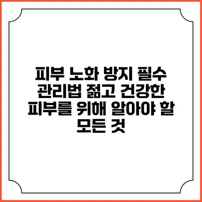 피부 노화 방지 필수 관리법: 젊고 건강한 피부를 위해 알아야 할 모든 것