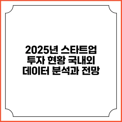 2025년 스타트업 투자 현황: 국내외 데이터 분석과 전망