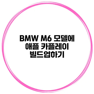 BMW M6 모델에 애플 카플레이 빌드업하기