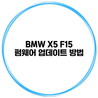BMW X5 F15 펌웨어 업데이트 방법