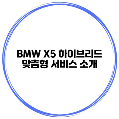 BMW X5 하이브리드 맞춤형 서비스 소개