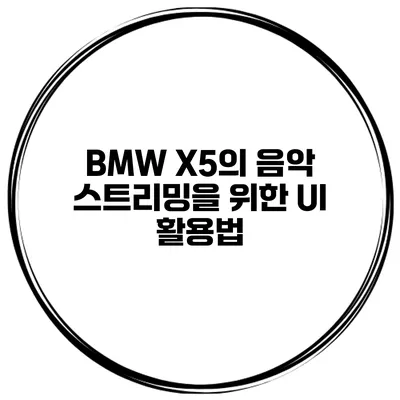 BMW X5의 음악 스트리밍을 위한 UI 활용법