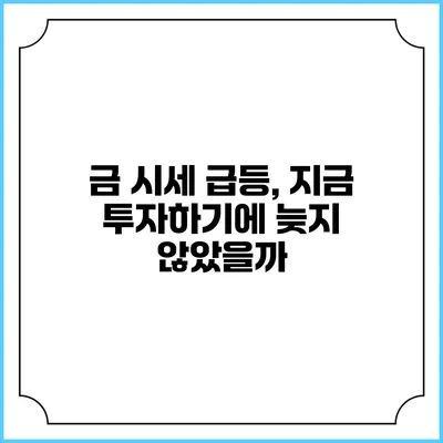 금 시세 급등, 지금 투자하기에 늦지 않았을까?