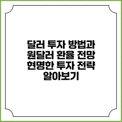 달러 투자 방법과 원달러 환율 전망: 현명한 투자 전략 알아보기