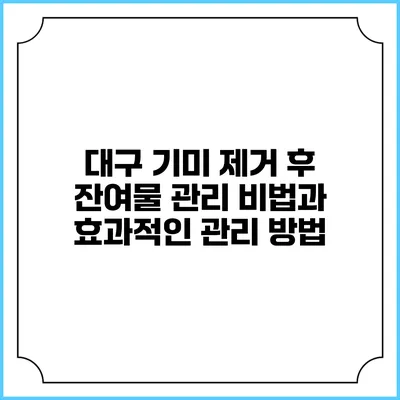 대구 기미 제거 후 잔여물 관리 비법과 효과적인 관리 방법