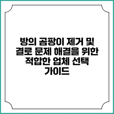방의 곰팡이 제거 및 결로 문제 해결을 위한 적합한 업체 선택 가이드