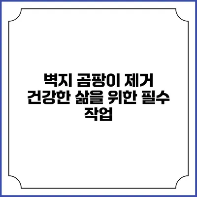 벽지 곰팡이 제거: 건강한 삶을 위한 필수 작업
