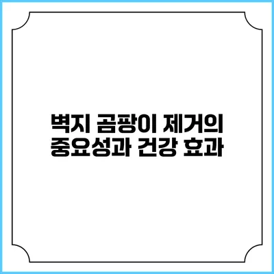 벽지 곰팡이 제거의 중요성과 건강 효과