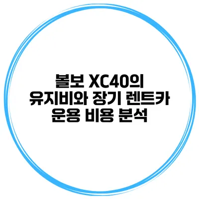 볼보 XC40의 유지비와 장기 렌트카 운용 비용 분석