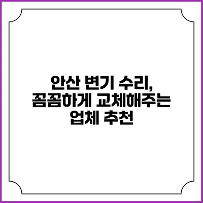 안산 변기 수리, 꼼꼼하게 교체해주는 업체 추천