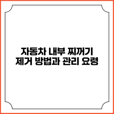 자동차 내부 찌꺼기 제거 방법과 관리 요령