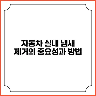 자동차 실내 냄새 제거의 중요성과 방법