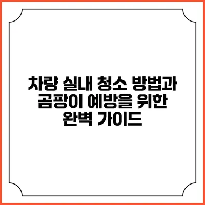 차량 실내 청소 방법과 곰팡이 예방을 위한 완벽 가이드