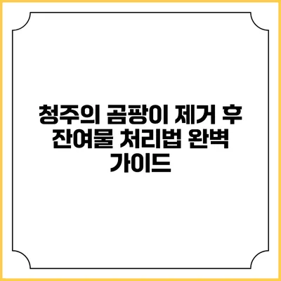 청주의 곰팡이 제거 후 잔여물 처리법 완벽 가이드